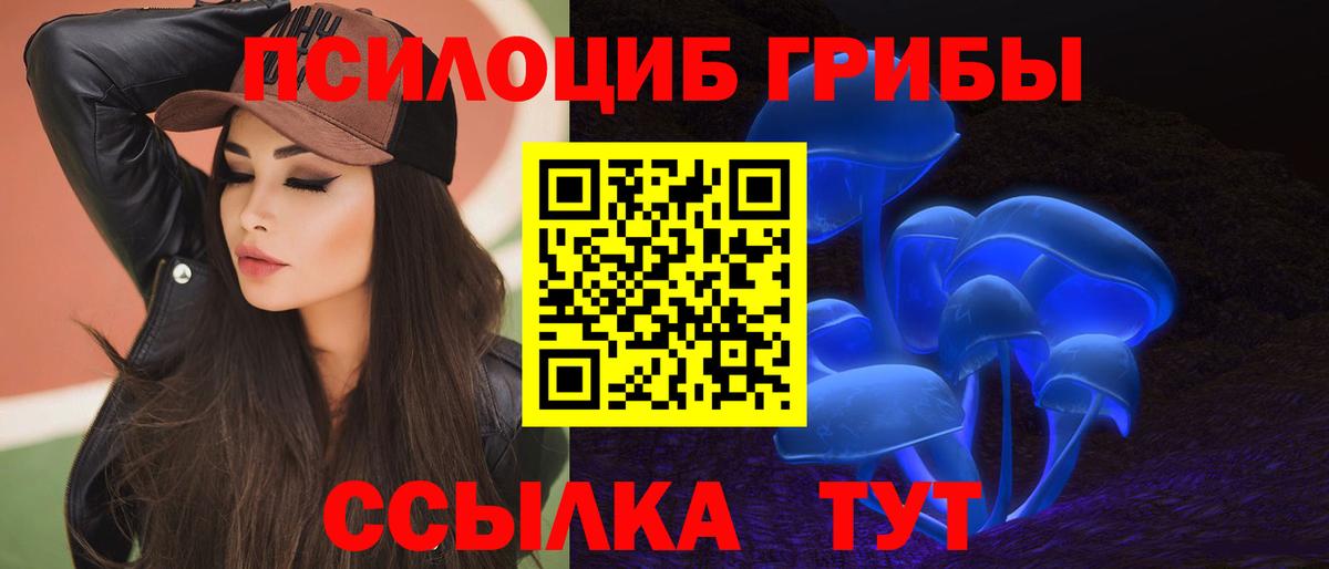 Псилоцибиновые грибы мицелий Медногорск